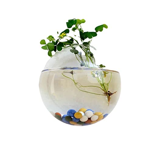 Frdun Wandbehang Glas Blumenvase, transparentes Design, halbrunde Vase, Pflanzgefäße, Terrarium, einfaches Design, Blumentöpfe für Zuhause, Büro, Wohnzimmer von Frdun