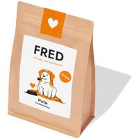 Fred & Felia FRED SENIOR Pute von Fred & Felia