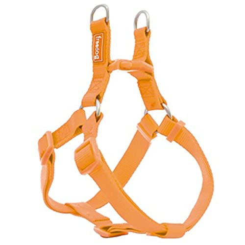 Arnés Nylon Basic Tipo A Naranja 15mmx30-50cm von Freedog