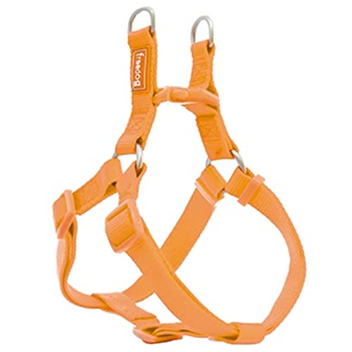 Arnés Nylon Basic Tipo A Naranja 20mmx51-70cm von Freedog