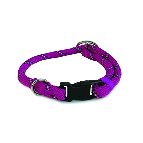 Collar Nylonband, reflektierend, 10 m von Freedog