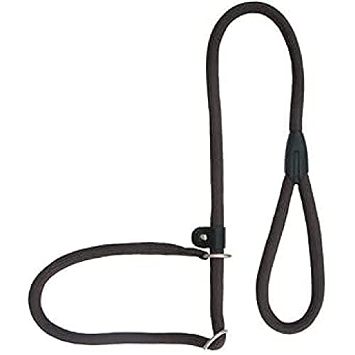 Runder brauner Nylon-Doppelband (13mmx120cm) Frisionog von Freedog