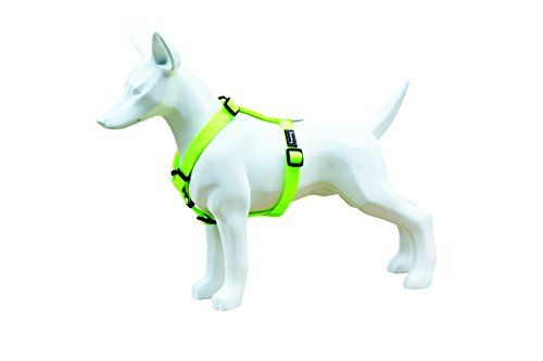 Freedog FD4002037 - Neon Nylon-Kabelbaum, für Hund, grüner Fluator von Freedog