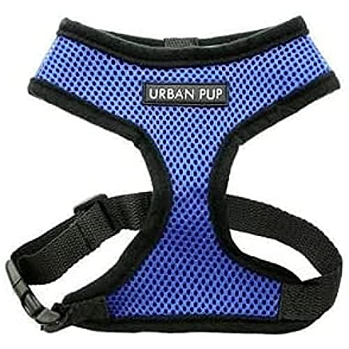 Freedog FD4003072 - Weichgeschützt, für Hund, Blaue Farbe von Freedog