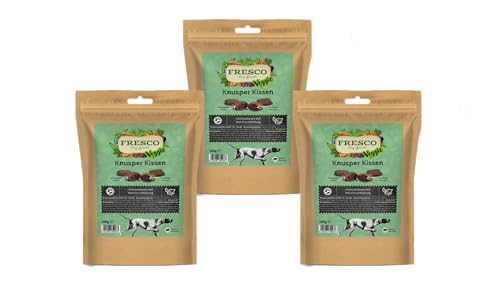 FRESCO Knusper Kissen | 3er Pack | 3 x 100 g | Veganer Snack für Hunde | Gemüsekissen mit Waldfruchtfüllung | Für eine abwechslungsreichere Ernährung | Knusprige Hülle von Fresco