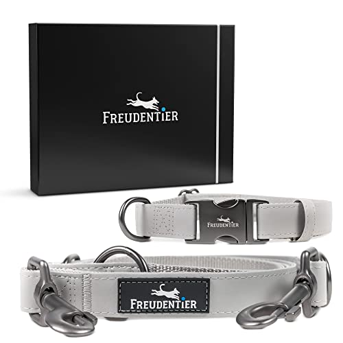 FREUDENTIER® Hundeleine (2m) und Hundehalsband aus veganem Leder im Set - Edle Geschenkbox - 3-Fach verstellbare Führleine (30-40cm) von FREUDENTIER