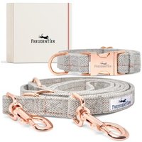 Freudentier Hundehalsband & Hundeleine im Set - 2m Führleine, 3-fach verstellbar - Classic Kollektion S-M von Freudentier