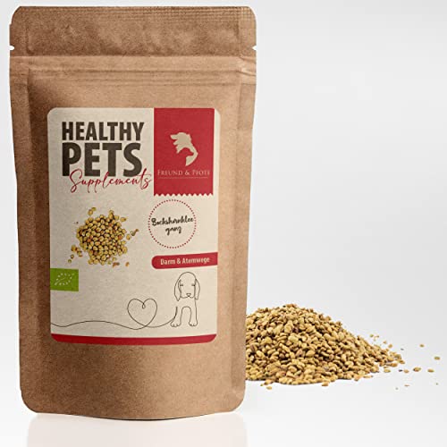 Freund&Pfote Healthy Pets Bio Bockshornkleesamen Hund | ganze Bockshornklee Samen | artgerechtes Einzelfuttermittel | 100% natürliche | Bio Bockshornklee Hunde | plastikfrei verpackt (1000 Gramm) von Freund & Pfote