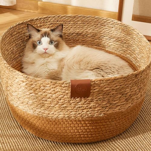 Katzenkorb Bett | PE-Rattan-Katzenbett, Haustiermöbel, gewebtes Katzenbett, Katzenliege, Weiden-Hundebett, Katzenkratzbrett, gemütliches Kätzchenbett zum Kratzen von Kaninchen, kleinen Haustieren von Frfik