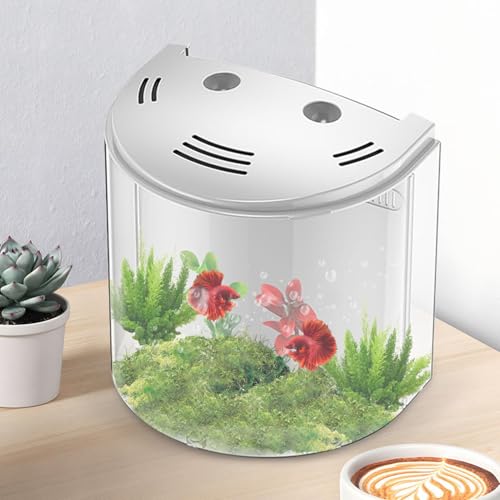 Kleines Aquarium, durchsichtiger Behälter mit Wasserpumpe, kreatives Desktop-Fisch-Aquarium für Schnecken, kleine Krabben, Seesterne, Meeresaffen von Frfik