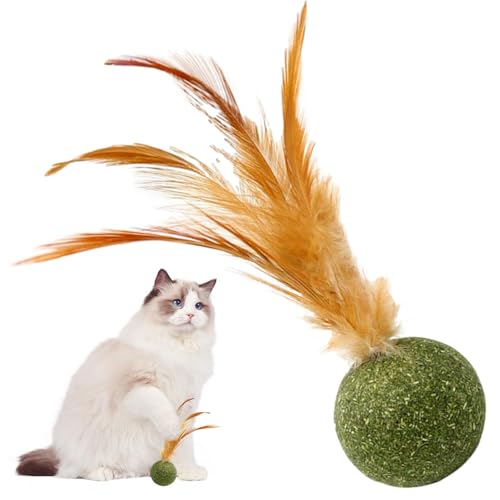 Magic Cat Balls | Katzenspielzeug Katzenminze | Essbarer Katzenminze Federball | Katzenspielzeug für Katzen Lecken | Sicheres gesundes Kätzchen-Kauspielzeug | Zahnreinigung Katzenspielzeug | von Frfik