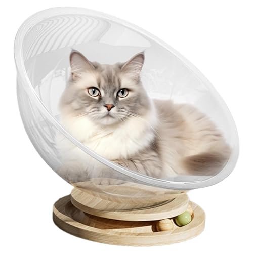 Niedliches Katzenbett, freistehendes Katzenbett, transparentes Katzenhaus-Set, Katzenmöbel, Haustierbedarf, einfache Reinigung, stabiles Aktivitätszentrum, -Katzenbett zum Schlafen von von Frfik