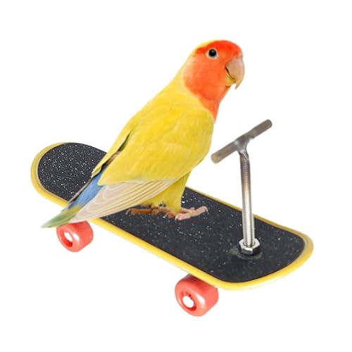 Papageientraining-Trick-Requisite – Skateboard-Vogelspielzeug, 5 cm PP-Papageientraining – Intelligenzverbesserndes Haustierzubehör – Skateboard-Vogel für Vögel, von Frfik