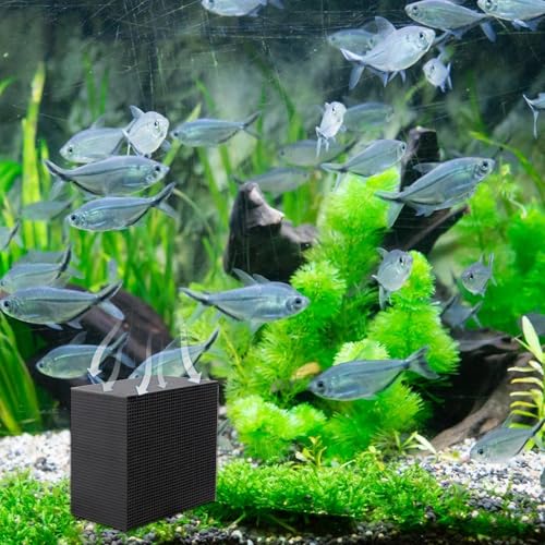 Purifier Cube, Aquarium Cube Filter, Water Purifying Cube, Activated Carbon Water Purifier Cube, Fish Tank Purifier Cube, Water Trough Purifier Cube for Aquarium, Ponds, Fish Tank, Water Tank von Frfik