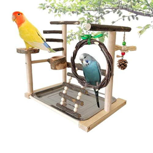 Vogelspielplatz - Papagei Vogel Spielplatz | Naturholz Vogel Spielständer | Vogelspielplatz für Wellensittiche | Papageien Vogelständer Vogelspielplatz für Vogelkäfige, Nymphensittiche von Frfik