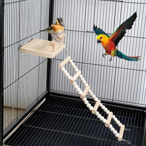 FrgKbTm Papageien-Vogel-Sitzstange aus Holz mit Kletterleiter, Papageien-Spielständer, Vogelschaukel, Brücke, Kauspielzeug für Sittiche, Nymphensittiche, Sittiche, Sittiche, Sittiche, S von FrgKbTm