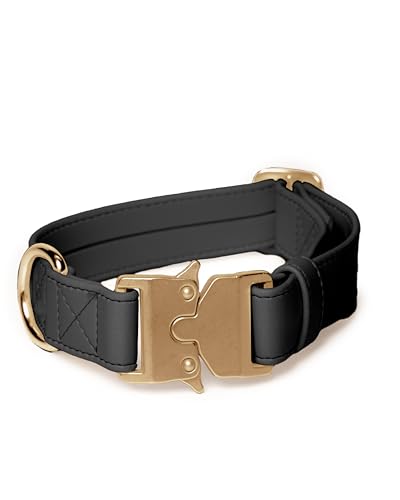 Friedagreen Veganes Leder Halsband Schnellverschluß (Schwarz, goldene Schnalle, 2cm breit, 23-31cm Umfang) von Friedagreen