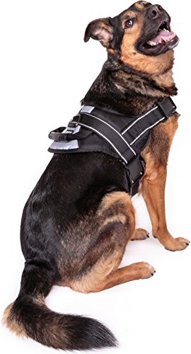 Friends Forever No Pull Hundegeschirr für große Rassen – Trainingsgeschirre Hunde, schwarze Hundeweste mit Griff & 3M reflektierendem Material zusätzliche Kontrolle und Sicherheit, Größe L von Friends Forever