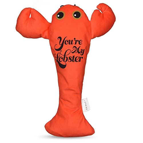 Friends the TV Show Katzenspielzeug, 25,4 cm Plüsch You're My Lobster Katzenspielzeug | Friends You're My Lobster Plüsch Katzenspielzeug | Freunde Show Hummer Katzenspielzeug | Geschenke für Freunde von Friends the TV Show