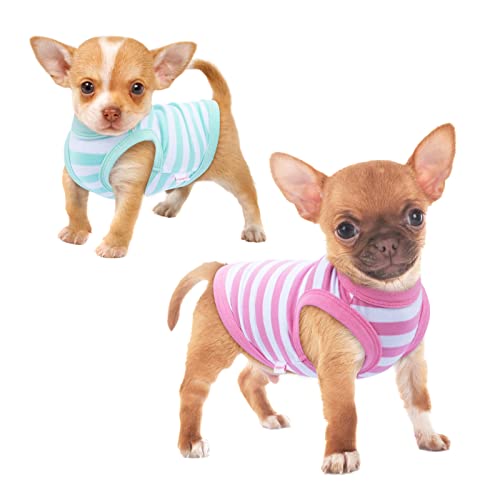 Frienperro 2-Pack Small Dog Shirt Dog Clothes for Small Dogs Girl Boy, Breathable Striped Chihuahua Clothes, Sleeveless Puppy Outfit Cat Clothes Vest Tank Top, Green & Pink S von Frienperro