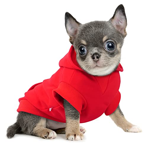 Frienperro Hundekleidung für kleine Hunde Mädchen Junge, 100% Baumwolle Kleine Hunde Hoodie Chihuahua Kleidung Haustier Katze Winter Warm Sweatshirt Pullover, Yorkie Welpen Kleidung Mantel Kostüm, Rot von Frienperro