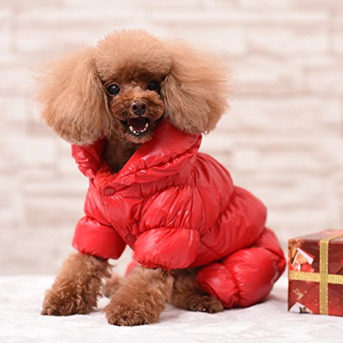 Frieyss Winter-Hundemantel, wasserdicht, winddicht, Hunde-Schneeanzug, warm, Fleece, gepolstert, für kleine Hunde (Winterrot, groß) von Frieyss