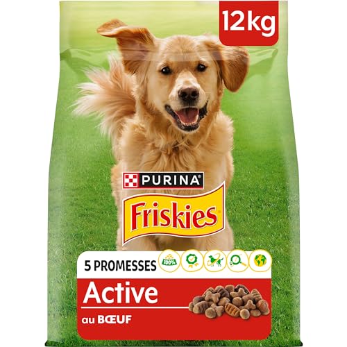 FRISKIES Trockenfutter für Hunde, aktiv, Rindfleisch, 12 kg von Friskies