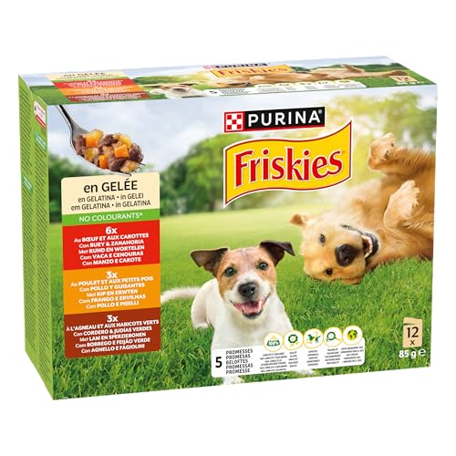 Purina Friskies Nassfutter für Hunde, Gelee, mit Huhn, Lamm und Ochse, 6 Packungen mit 12 Beuteln à 85 g von Friskies