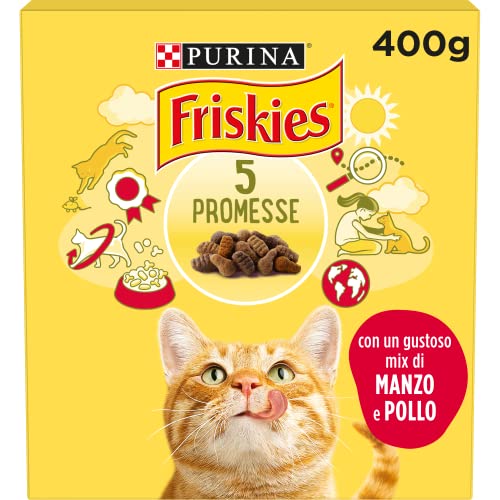 Purina Friskies Trockenfutter für Erwachsene Katzen mit Rindfleisch und Huhn, 20 Packungen à 400 g von Friskies