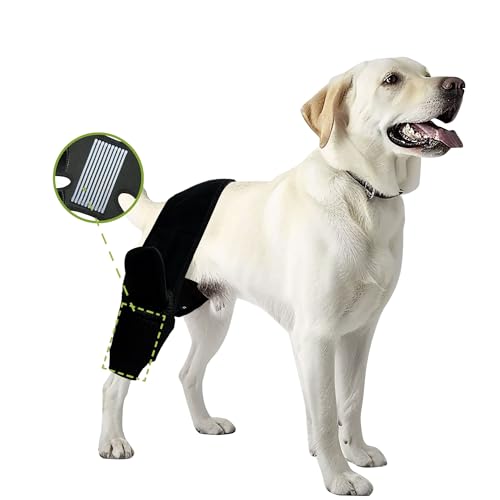 Fristbrace Hunde-Beinbandagen für Hinterbeine, Hunde, ACL-Bandage für gerissene und hintere Hinterbeine, ACL-Riss, Hundebeinbandage für Hüftdysplasie, Arthritis und Luxations-Patella (Größe M) von Fristbrace