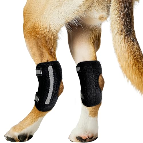 Hunde-Kniebandage für gerissenes ACL-Hinterbein und Luxating Patella, Unterstützung des hinteren Sprunggelenks, Gelenkverletzungs- und Verstauchungsschutz, abnehmbares Design, kommt mit 4 Federstegen von Fristbrace