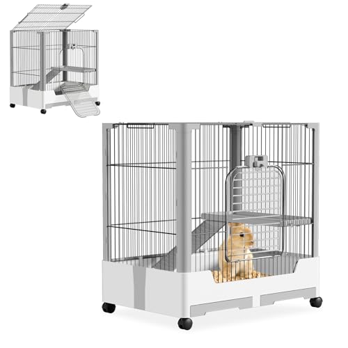Froadp Kaninchenstall 1 Ebene Mobiler Haustierkäfig für Kaninchen, Meerschweinchen und Kleintiere, Kleintierkäfig mit Offenem Dach, Rollen, Sicherheitsschloss, Abnehmbar Ruheplattform und Leiter Froadp Kaninchenstall 1 Ebene Mobiler Haustierkäfig für Kaninchen, Meerschweinchen und Kleintiere, Kleintierkäfig mit Offenem Dach, Rollen, Sicherheitsschloss, Abnehmbar Ruheplattform und Leiter von Froadp