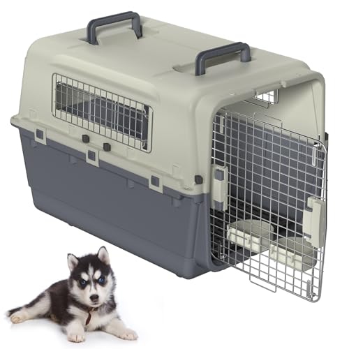 Froadp Transportbox für Haustiere Hund Katze Hundebox aus PP Kunststoff 80x57x70cm Katzentransportbox Hundetransportbox mit Rädern & Urinabstandshalter & Hängende Fressnäpfe Katzenbox von Froadp