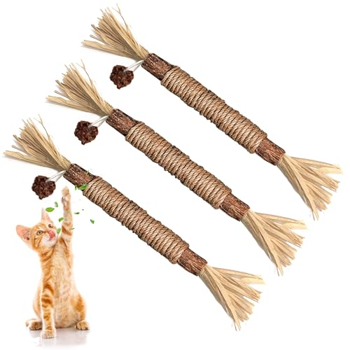 Frogetu 3 Stück Katzenminze Sticks,Katzen Sticks,Katzen Kauhölzer Sticks,Katzen Zahnpflege Spielzeug,Interaktives Katzenspielzeug,für Katzen Zahnpflege & Gegen Mundgeruch von Frogetu