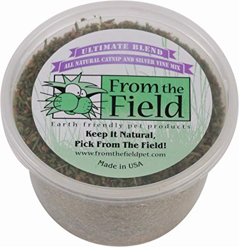 From The Field Ultimate Blend Katzenminze und Silberranke, Premium-Katzenminze aus den USA für Spielzeug und Spielzeit, frisch, potent, ungiftig, umweltfreundlich, sicher für Kätzchen und Katzen, von From The Field