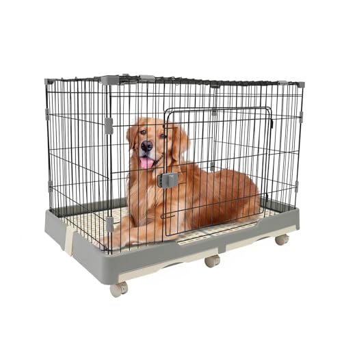 Haustierkäfig, Haustiertransporter, Grauer Haustierkäfig 99 * 62 * 75cm, Hundebox aus Metall mit stabilen Sicherheitsverschlüssen & Trennwand für kleine, mittelgroße Hunde, sicher, 2 Türen von Froulaland