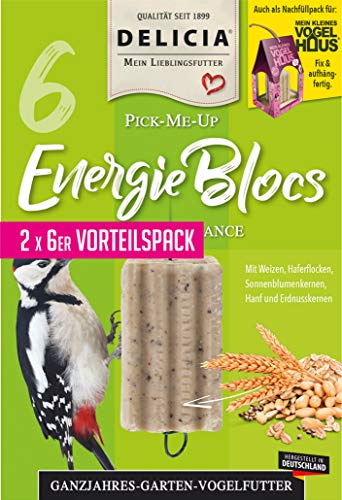 Frunol Delicia EnergieBloc, Größe L, 1er Pack (1 x 95 Grams) von Frunol Delicia