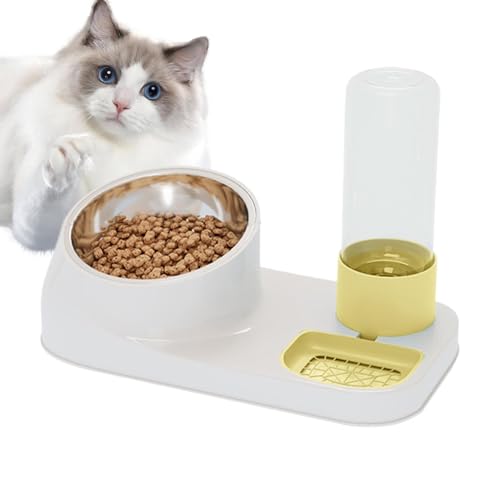 Cat Feeder Water Dispenser, Stainless Steel Bowl, (Non-Slip Base), Automatic Dry Food and for Cats, Kittens, Small Dogs, Pet Feeding Station, 11.81x6.69x8.27 Inches von Fruusv