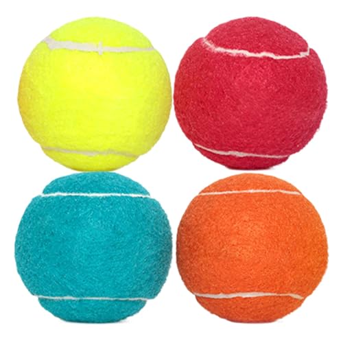 Fruusv Dogs Toy Balls, Squeaky Dog Ball Teething Toys, 4X Puppy Chew Toy, Portable Pet Interactive Fetch Ball for Small, Medium, Large, Exercise, Training, 6.4cm von Fruusv