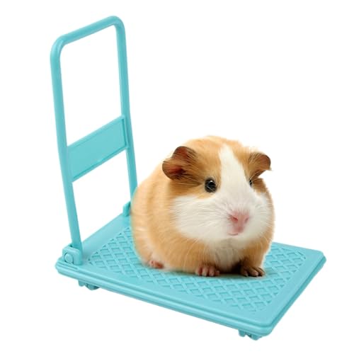 Hamster Cart Toy, Small Animal Toys, Hamster Toys for Cage, Photo Props for Hamsters, Hamster Enrichment Toys, Chinchilla Bed Toys, Pet Toys for Hamsters for Hamster Cage Accessories von Fruusv