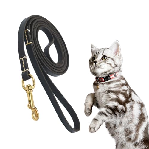 No Pull Rope, Dog Training Behavior Aid, Ergonomic Safety Belt, 61.02x0.24x0.04 inches Compact Leash for Car Restraint, Comfortable & Adjustable, for Walking & Obedience Training von Fruusv