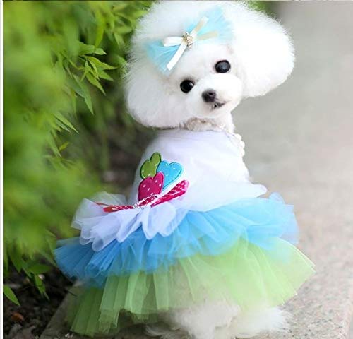 Haustier Hunde-Bekleidung Welpen-Kleid-Spitze-Prinzessin Chihuahua Hundekleidung (Color : Blue) von FuQingShiLongShanYuHuaShiPinDian