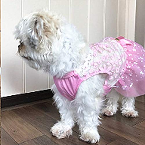 Haustier Paulclub AB060 reizende Katze-Kleid-Spitze-Hochzeit Röcke Kleider for Haustiere Partei-Kostüm, Größe: L (Pink) (Color : Pink) von FuQingShiLongShanYuHuaShiPinDian