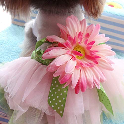 Haustier Paulclub Moderne Hunde-Gaze-Kleidung for Haustier Hund Katze kleidet Partei-Blumen-Rock, Größe: L (Pink) (Color : Pink) von FuQingShiLongShanYuHuaShiPinDian