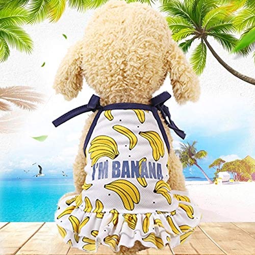 Haustier Paulclub Pet Frucht-Druck-T-Shirt Welpen-Hundekatze-Nette Frucht Rock, Größe: M (Vest-Ananas) (Color : Skirt-Banana) von FuQingShiLongShanYuHuaShiPinDian