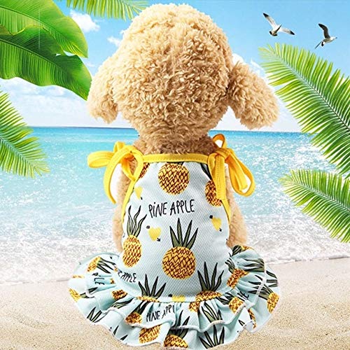 Haustier Paulclub Pet Frucht-Druck-T-Shirt Welpen-Hundekatze-Nette Frucht Rock, Größe: M (Vest-Ananas) (Color : Skirt-Pineapple) von FuQingShiLongShanYuHuaShiPinDian