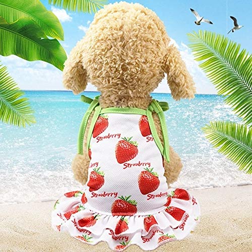 Haustier Paulclub Pet Frucht-Druck-T-Shirt Welpen-Hundekatze-Nette Frucht Rock, Größe: M (Vest-Ananas) (Color : Skirt-Strawberry) von FuQingShiLongShanYuHuaShiPinDian