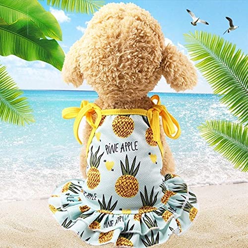 Haustier Paulclub Pet Frucht-Druck-T-Shirt Welpen-Hundekatze-Nette Frucht Rock, Größe: XS (Vest-Ananas) (Color : Skirt-Pineapple) von FuQingShiLongShanYuHuaShiPinDian