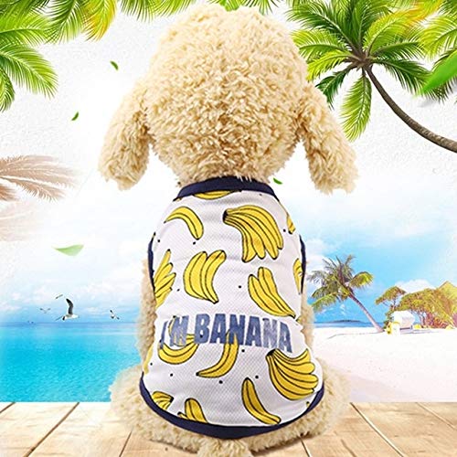 Haustier Paulclub Pet Frucht-Druck-T-Shirt Welpen-Hundekatze-Nette Frucht Rock, Größe: XS (Vest-Ananas) (Color : Vest-Banana) von FuQingShiLongShanYuHuaShiPinDian