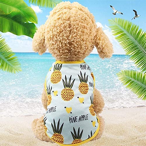 Haustier Paulclub Pet Frucht-Druck-T-Shirt Welpen-Hundekatze-Nette Frucht Rock, Größe: XS (Vest-Ananas) (Color : Vest-Pineapple) von FuQingShiLongShanYuHuaShiPinDian